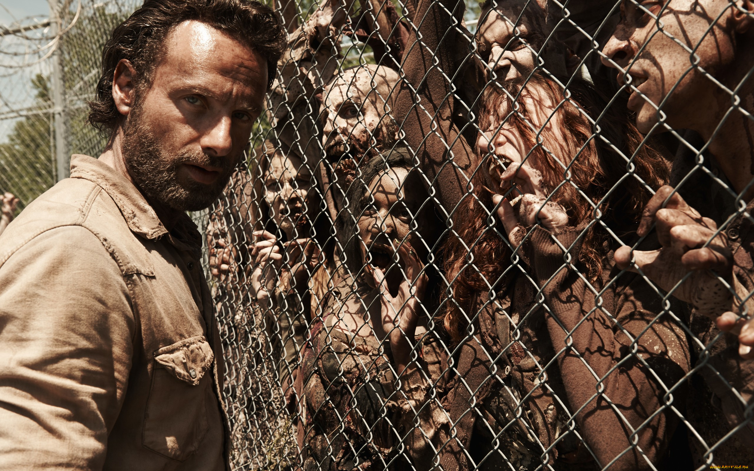  , the walking dead, , , , 